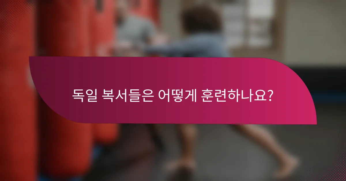 독일 복서들은 어떻게 훈련하나요?