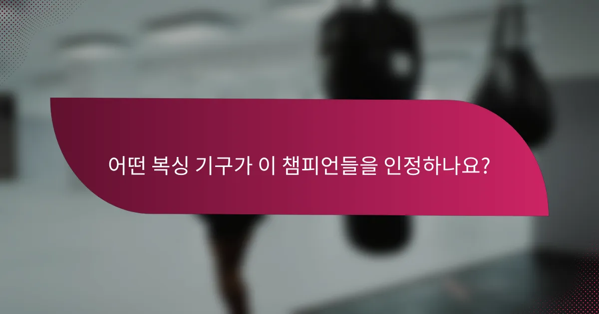 어떤 복싱 기구가 이 챔피언들을 인정하나요?