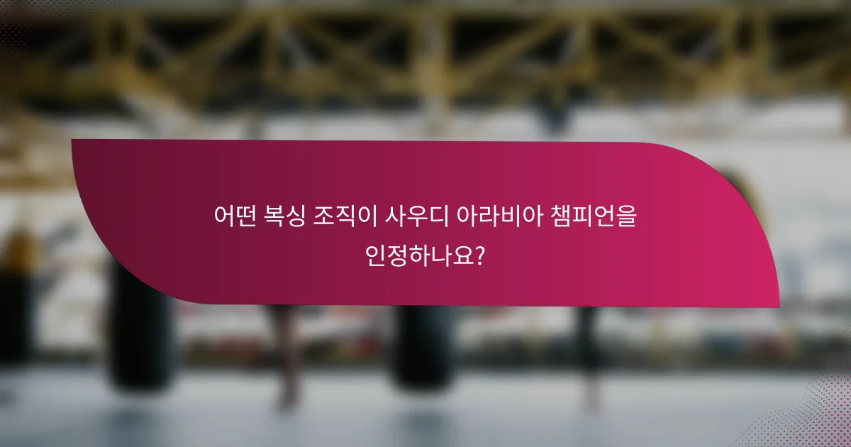 어떤 복싱 조직이 사우디 아라비아 챔피언을 인정하나요?