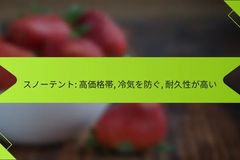 スノーテント: 高価格帯, 冷気を防ぐ, 耐久性が高い