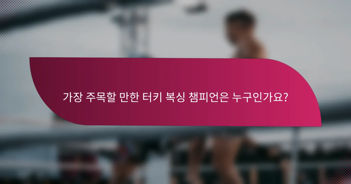 가장 주목할 만한 터키 복싱 챔피언은 누구인가요?