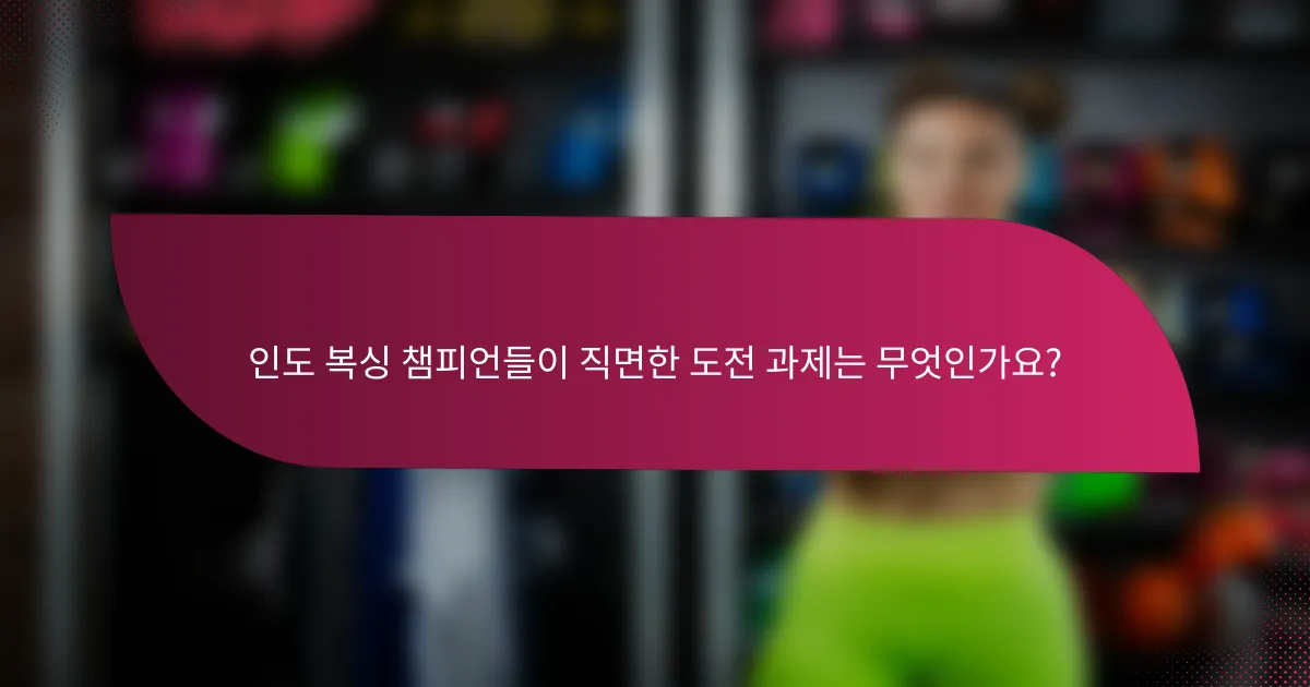 인도 복싱 챔피언들이 직면한 도전 과제는 무엇인가요?